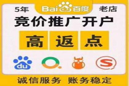 百度广告推广案例：拓展市场份额